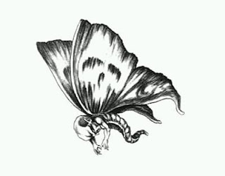 Tatoos y Tatuajes de Mariposas, parte 2
