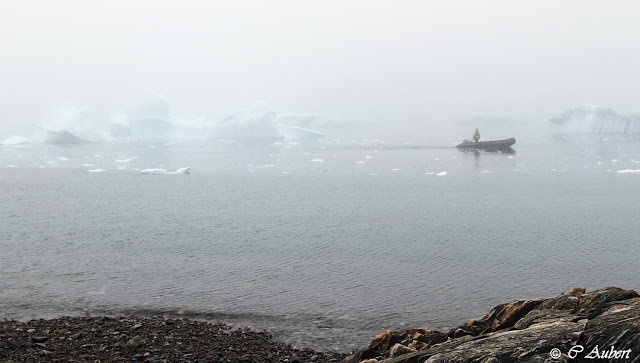 Savissivik, cimetière d'icebergs, météorite,Groenland