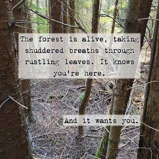 The forest is alive, taking shuddered breaths through rustling leaves. It knows you’re here.  And it wants you.