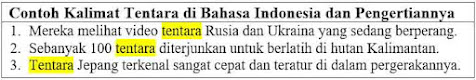 23 Contoh Kalimat Tentara di Bahasa Indonesia dan Pengertiannya