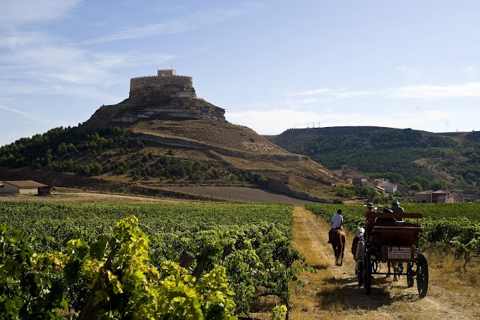 Entre Castillos y  Paisajes de  Viñedos