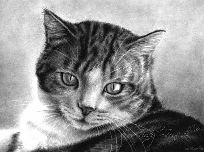 20 Beautiful Realistic Cat  Drawings  To inspire you Fine 