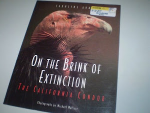 On the Brink of Extinction: The California Condor