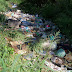 (fotos) SÁENZ PEÑA - LAMENTABLE: TONELADAS DE BASURA Y CANALES TAPADOS COMPLICAN ESCURRIMIENTO DE LLUVIAS Y FAVORECEN EL DENGUE