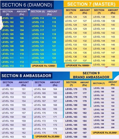 INR Expert Business Plan