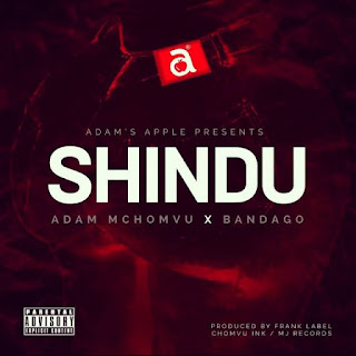 AUDIO | Adam Mchomvu – SHINDU Mp3 Download