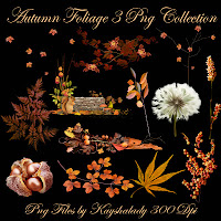 Autumn Foliage 3 PNG Tubes