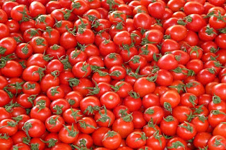 Nutrisi buah tomat untuk kesehatan dan kecantikan