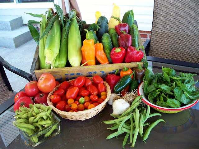 Organic corn tomatoes edamame basil dill peppers garlic green beans squash zucchini cucumber