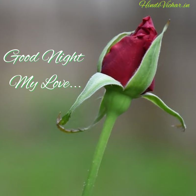 Lovely Good Night My love Images