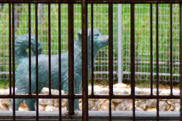 Statue of Shiro the dog on Aka-jima