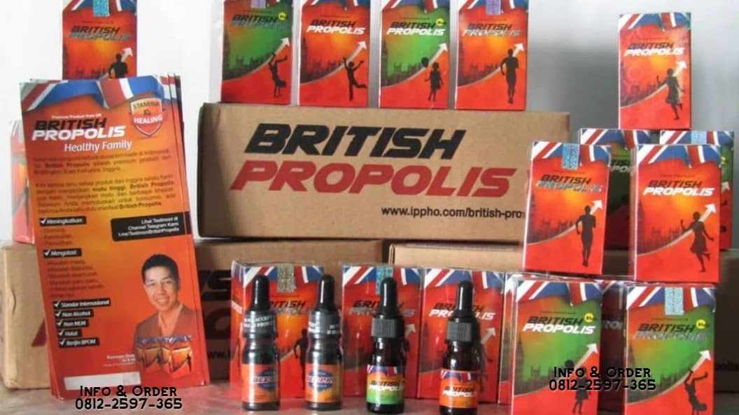 british propolis suplemen kesehatan premium untuk anak dan dewasa