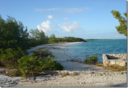 normans cay bahamas 028