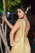 Yamini Bhaskar sizzling in saree-thumbnail-5