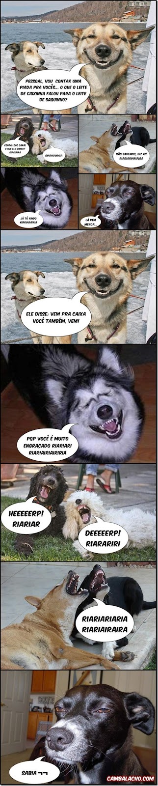 O cachorro piadista