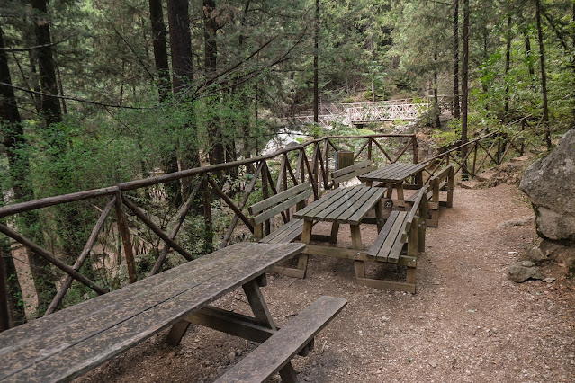 Sostare nel Bosco degli Zappini