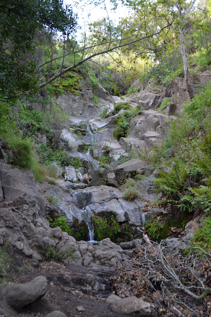 cascading water, a series of waterfalls