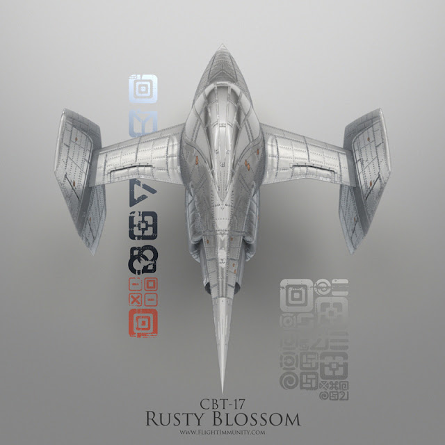 Flight Immunity by Denis Kozlov: collectible aircraft art with a steganographic twist (www.flightimmunity.com)