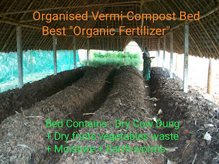 Organic Decompose Natural Fertilizer by Earth worms