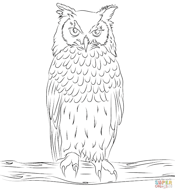 Bengalese Eagle Owl