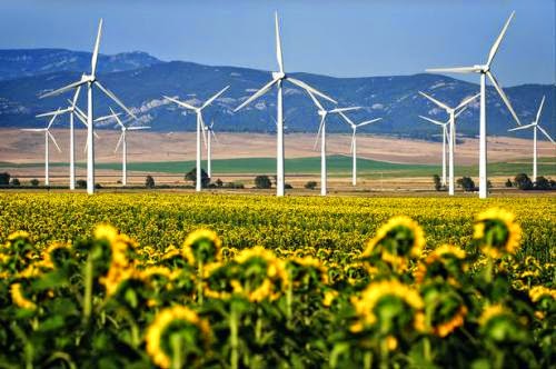 Blown Away Plans To Build 1 000 Wind Turbines In The Irish Midlands Axed