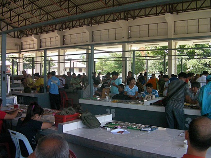 ตลาดพระเครื่องในจังหวัดเชียงราย นักเล่นพระ ลองแวะหาดู