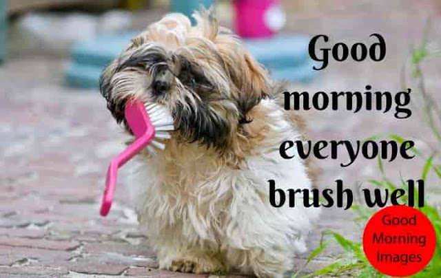 Good Morning Everyone Brush Well