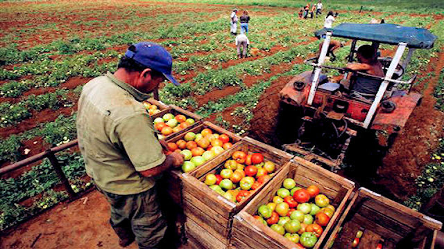 VENEZUELA: Fedecámaras Zulia aseguró que la Ley de Impulso a la Producción Agroalimentaria Urbana, es comunista.