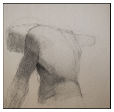 A charcoal drawing of the back.
