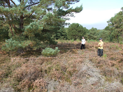 Belinda and Natasha with a quadrat taped up at Thurstaston Common