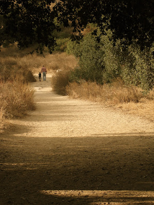 Soundwalk: photo by Cliff Hutson