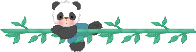 Panda Bear