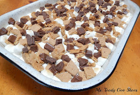 S'mores Brownies ---  Ms. Toody Goo Shoes