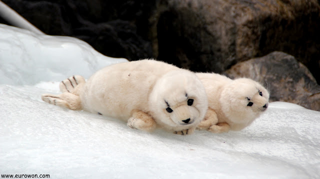 Focas de peluche