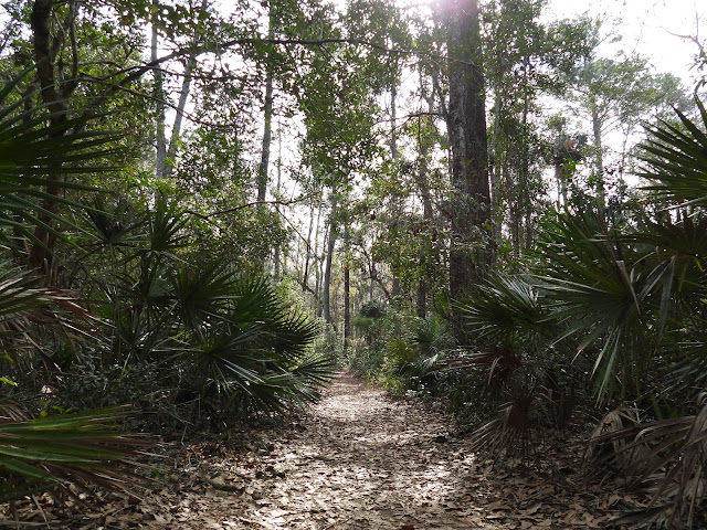 Salt Springs Recreation Area