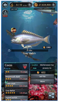 Kail Pancing Fishing Hook MOD Apk