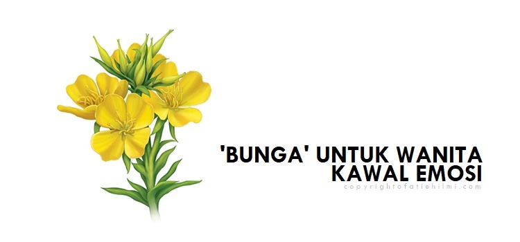 KEBAIKAN MINYAK EVENING PRIMROSE ( EPO ) UNTUK KESIHATAN 