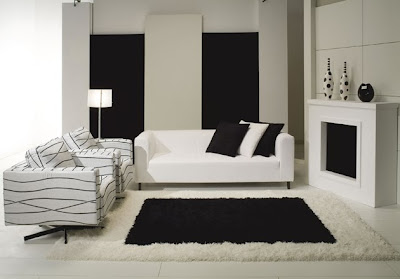 Living Room Ideas With Black And White