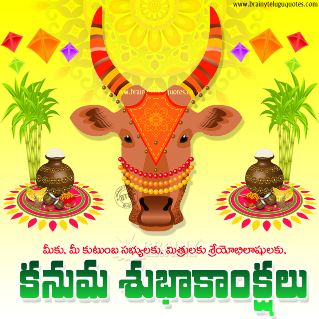 kanuma hd wallpapers, kanuma cow png images free download, kanuma greetings quotes in telugu