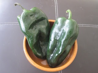 poblano chile pepper