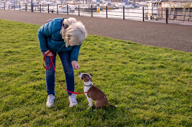 Photo of me with Ruby on a grassy area by the marina