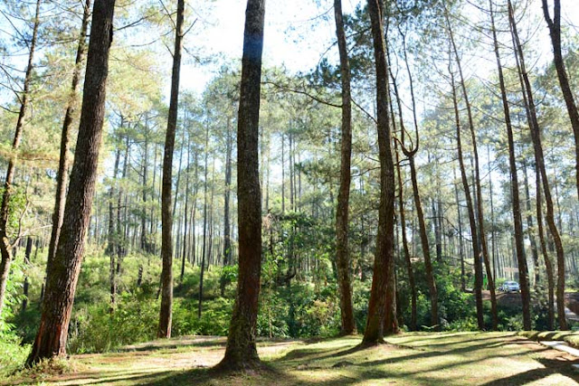 Tempat Outbound di Bandung