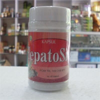 obat herbal hepatitis