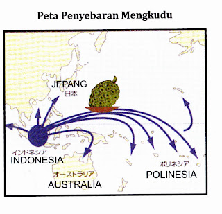 asal mula mengkud dunia dari indonesia