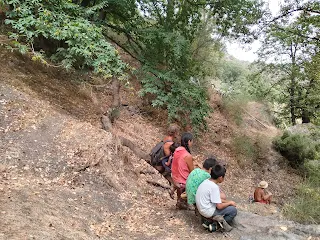 Two adults and two children sit in a row on a rock.