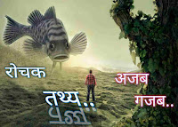 Rochak Tathya Facts in Hindi