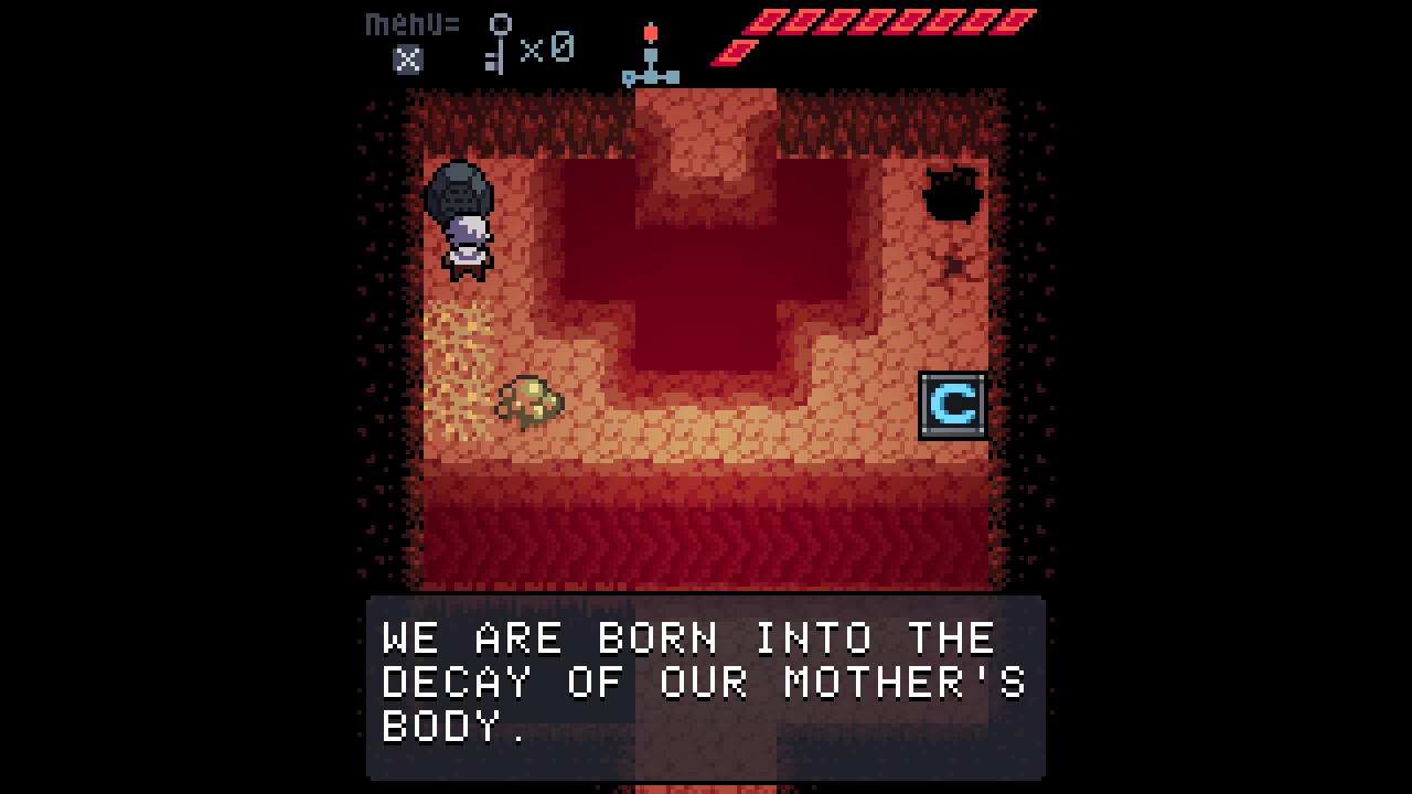 Anodyne Nintendo Switch We Are Born Into the Decay of Our Mother's Body