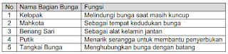 Contoh Soal PTS/STS IPAS Kelas 4 Semester 1 Kurikulum Merdeka Gambar 2