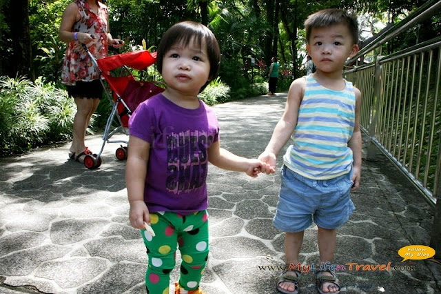 Kuala Lumpur Bird Park