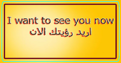 I want to see you now اريد رؤيتك الان